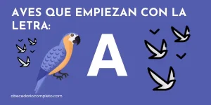 Aves que empiezan con A - Lista detallada