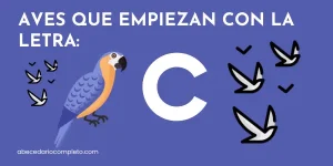 Aves que empiezan con C - Lista detallada