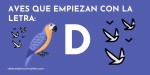 Aves que empiezan con D - Lista detallada