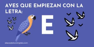 Aves que empiezan con E - Lista detallada