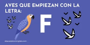 Aves que empiezan con F - Lista detallada