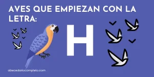 Aves que empiezan con H - Lista detallada