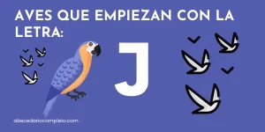 Aves que empiezan con J - Lista detallada