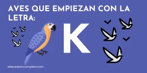 Aves que empiezan con K - Lista detallada