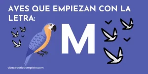 Aves que empiezan con M - Lista detallada