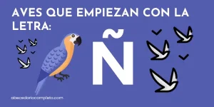 Aves que empiezan con Ñ