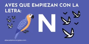 Aves que empiezan con N - Lista detallada