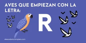 Aves que empiezan con R - Lista detallada