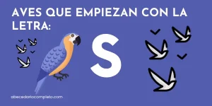 Aves que empiezan con S - Lista detallada