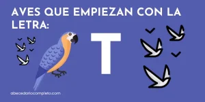 Aves que empiezan con T - Lista detallada