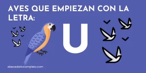 Aves que empiezan con U - Lista detallada