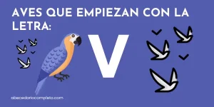 Aves que empiezan con V - Lista detallada