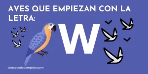 Aves que empiezan con W - Lista detallada