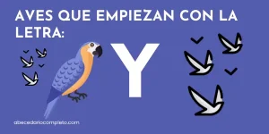 Aves que empiezan con Y - Lista detallada