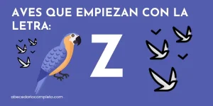 Aves que empiezan con Z - Lista detallada