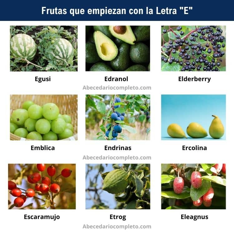 Frutas que empiezan con E - Lista completa