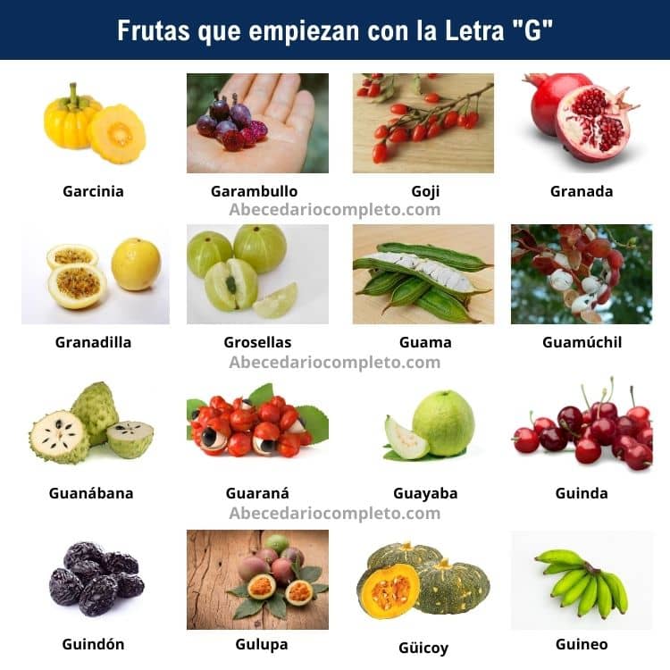 Frutas con la Letra G - Lista Detallada