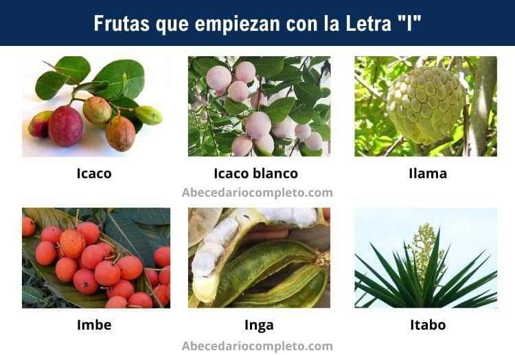 Frutas con la Letra I - Lista Detallada