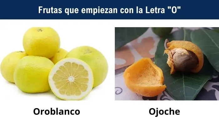 Frutas con la Letra O - Lista detallada