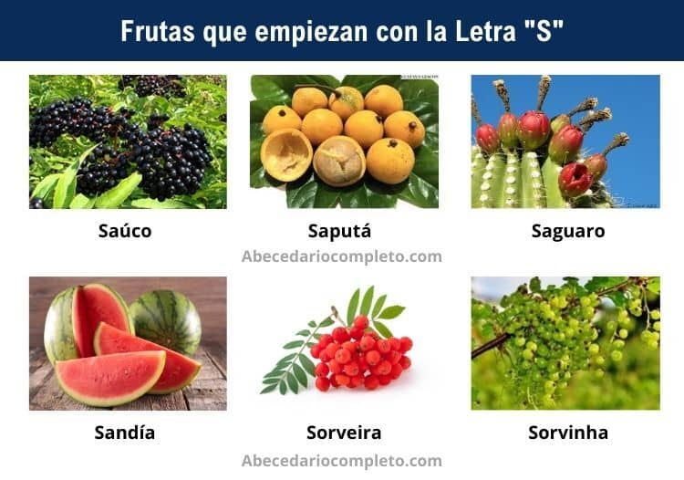 Frutas con la Letra S - Lista detallada