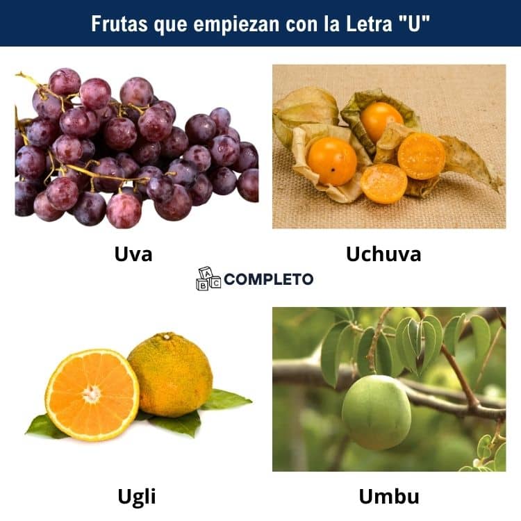 Frutas con la Letra U - Lista detallada