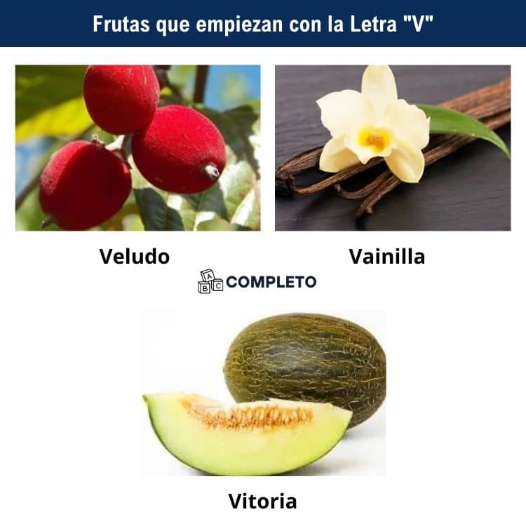 Frutas con la Letra V - Lista detallada