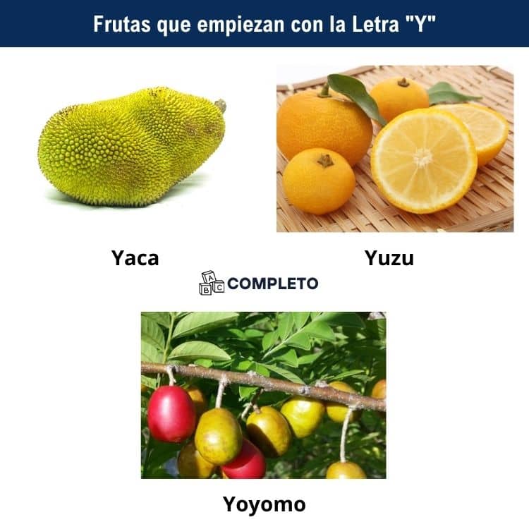 Frutas con la Letra Y