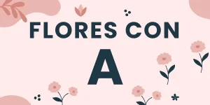 flores con a