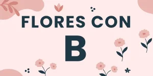 flores con b