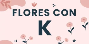 flores con k