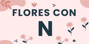 flores con n