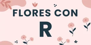 flores con r