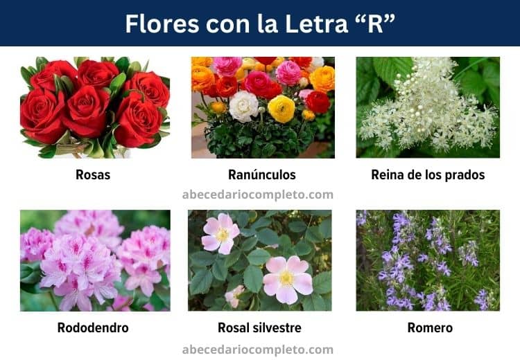 flores con la letra r