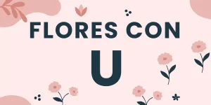 flores con u