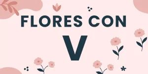 flores con v