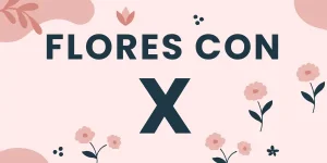 flores con x