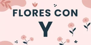 flores con y