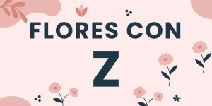 flores con z