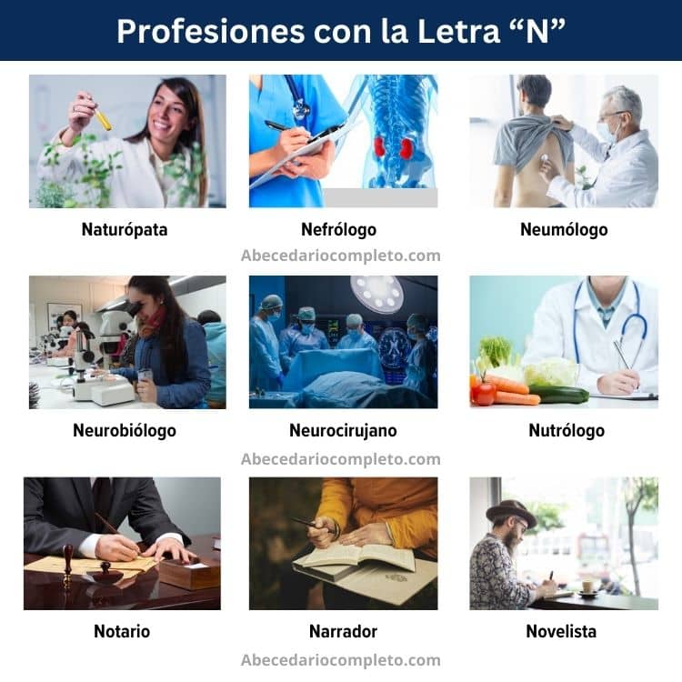 profesiones con la letra n