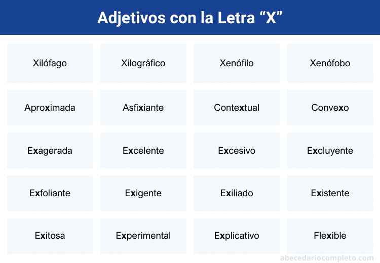 Adjetivos con X