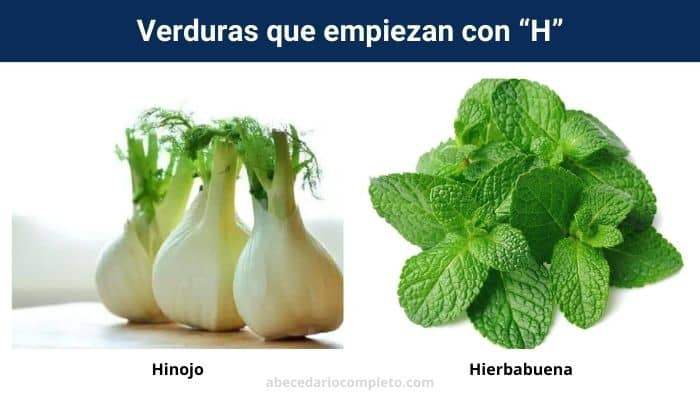 Verduras con H