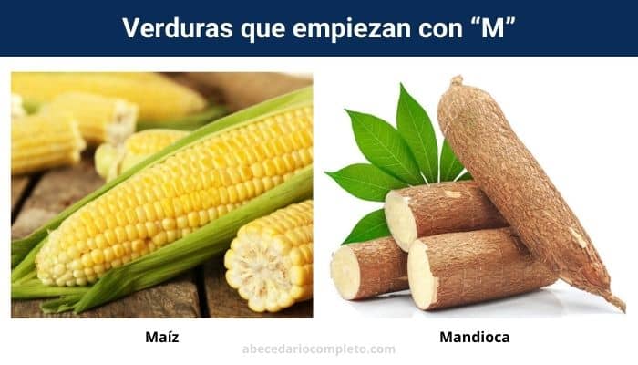 Lista de Verduras con M