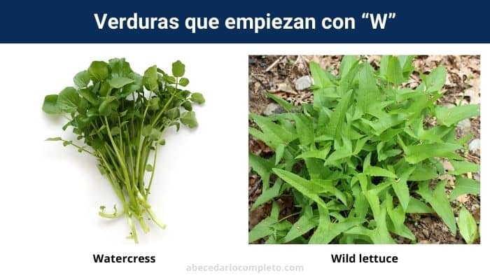 Verduras con W